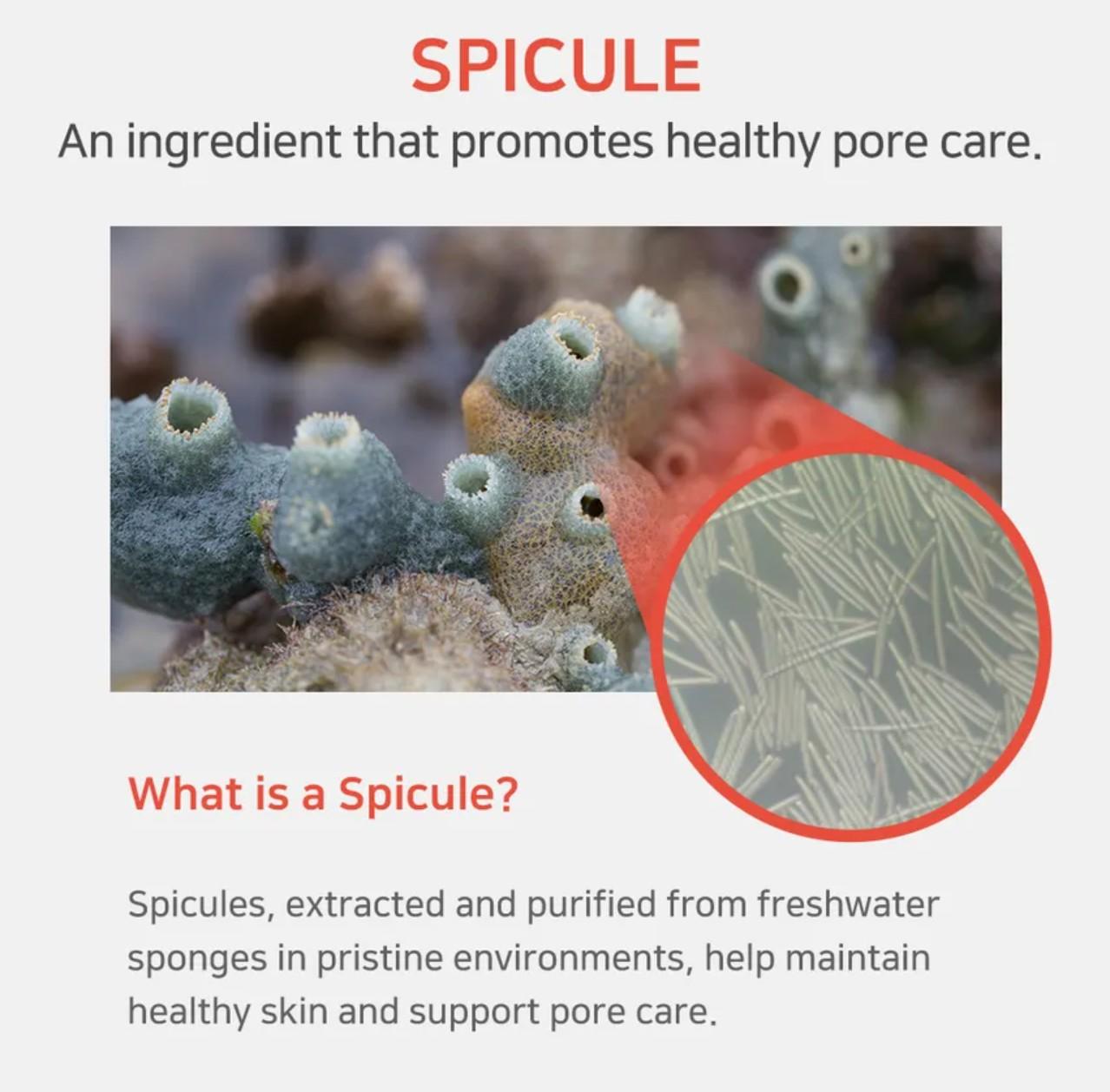 APLB SPICULE VITAMIN C SHOT 220 CREAM 55ml 4