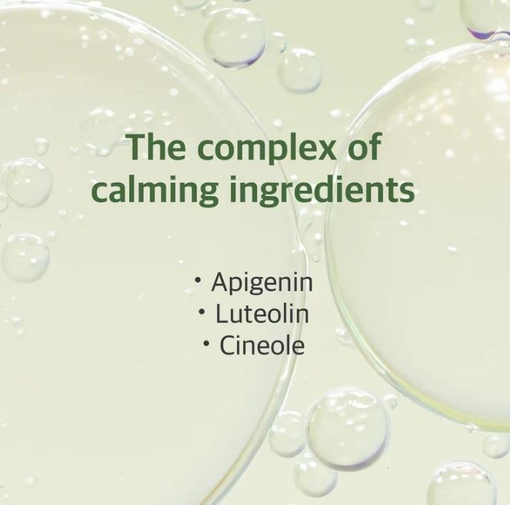 ROUND LAB Mugwort Calming Serum 50ml 6