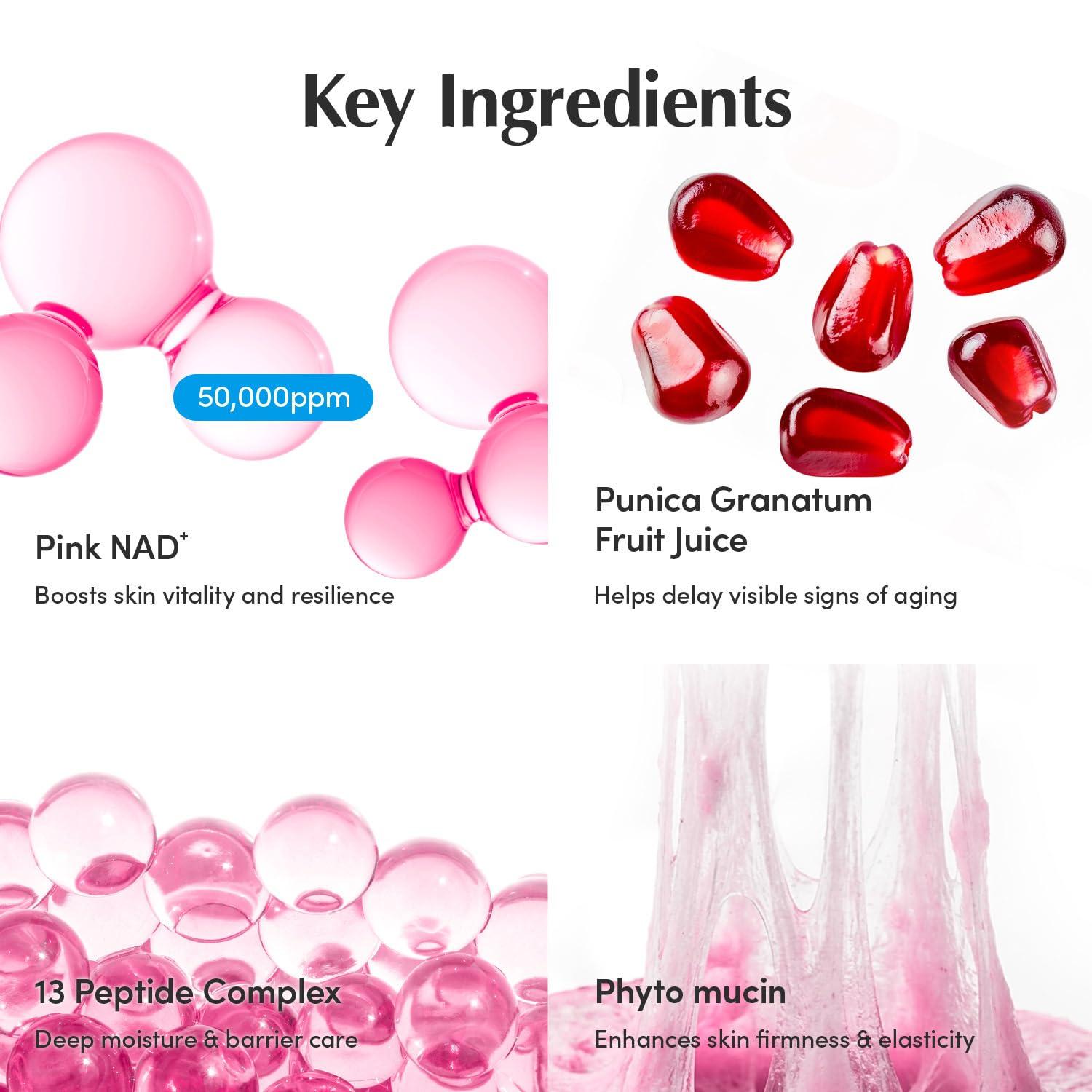 EQQUALBERRY NAD+ PEPTIDE BOOSTING CREAM 50ml 6