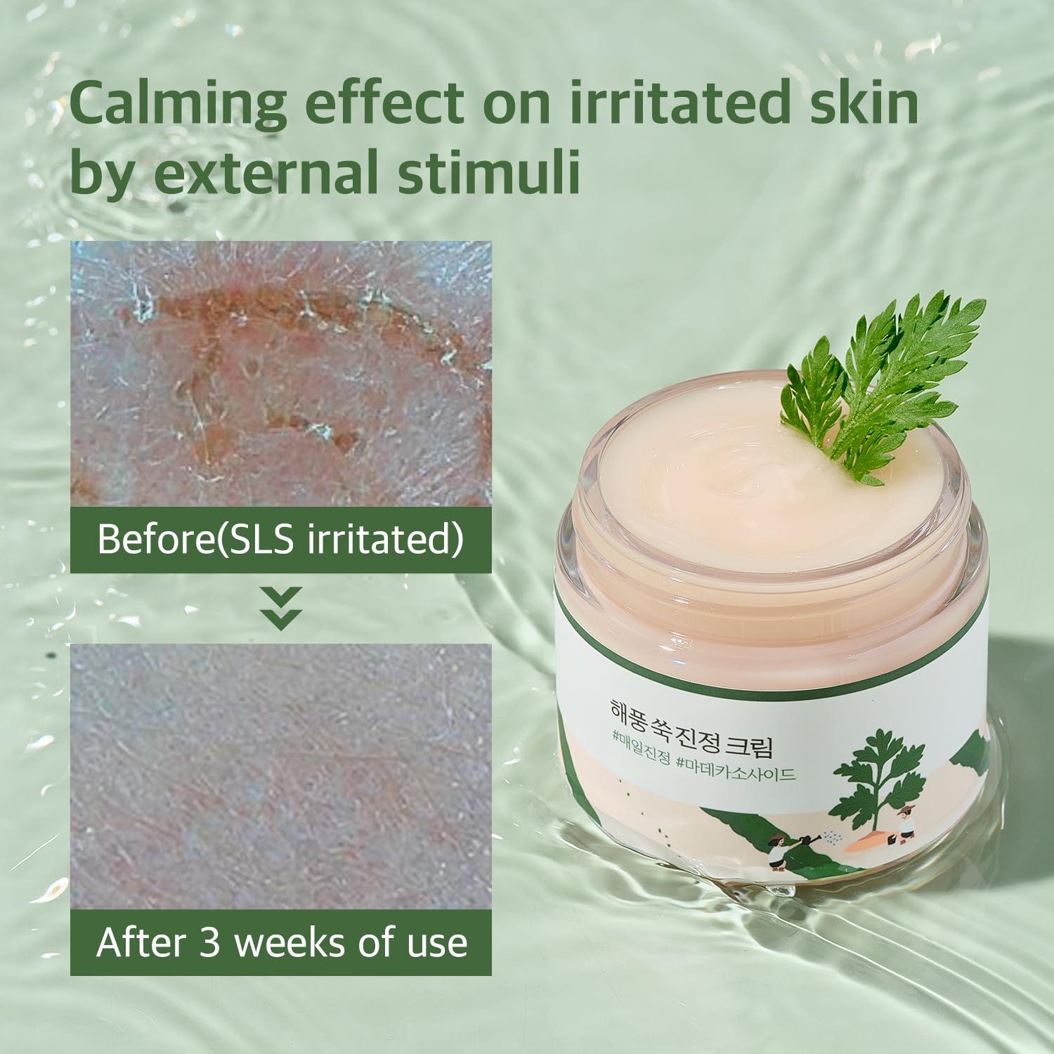 ROUND LAB Mugwort Calming Cream 80ml 5